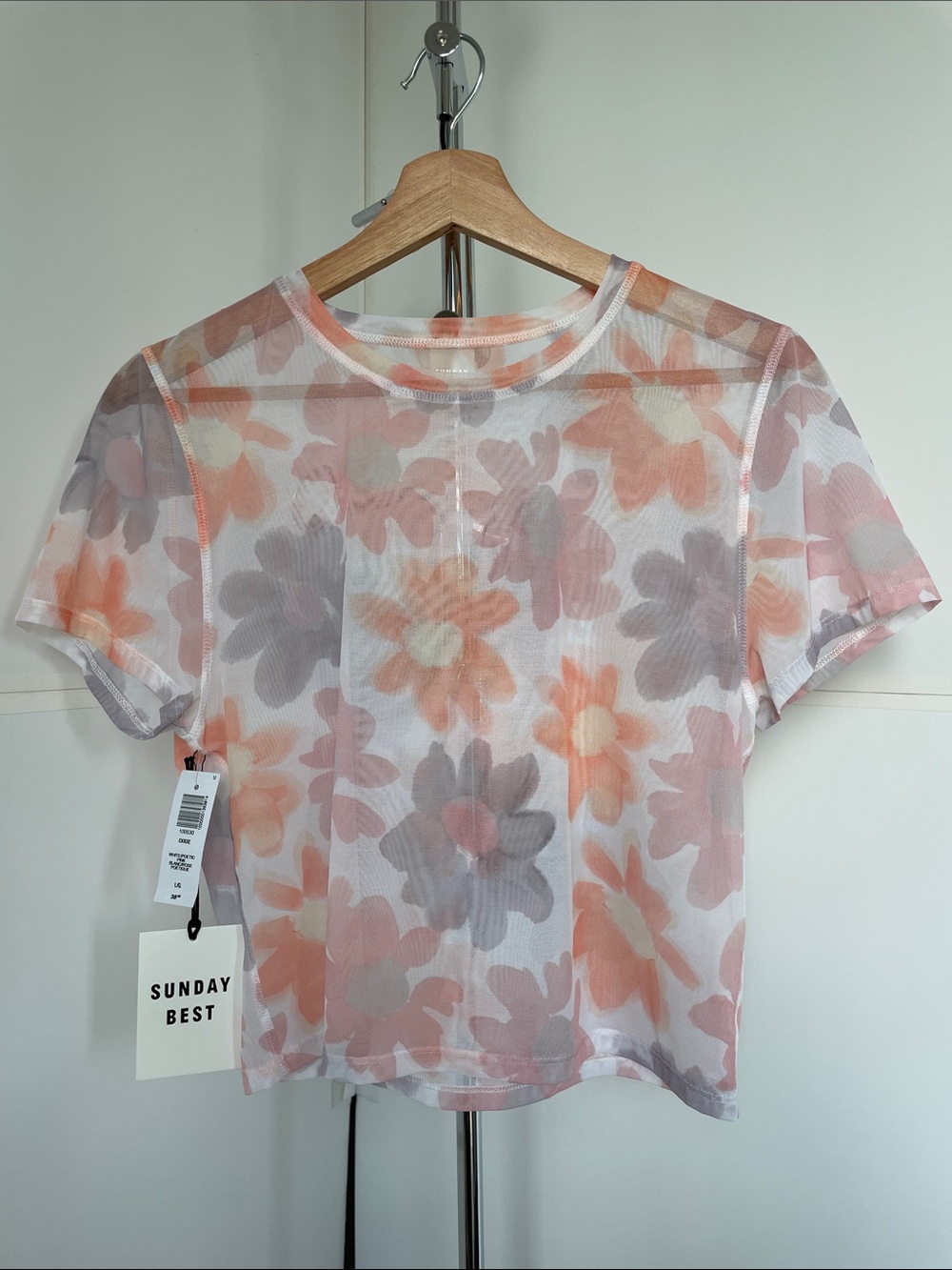 Women’s Aritzia Sunday Best sheer Crew Neck Dixie T-Shirt. Size Large. NWT